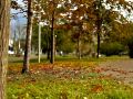 Осень в кадре