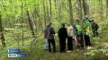 От «А» до «Я» про лес. В Хвалынском районе прошел ежегодный конкурс «Лесное многоборье» среди школьных лесничеств региона