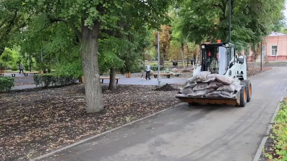 Саратовский горпарк доозеленяют по федеральной программе