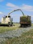 Аграрный сектор Энгельсского района продолжает демонстрировать уверенный рост по сбору зерна