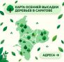 Роман Бусаргин: В Саратове стартует осенняя высадка крупномеров