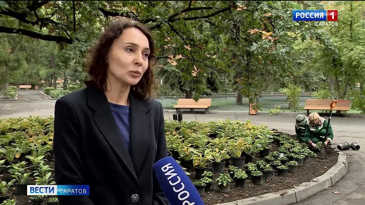 Дубы нескольких сортов, березы, ивы, ольха