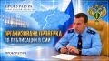 По поручению прокурора области Романа Пантелеева организована проверка по факту нападения собаки на граждан