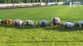 Приведи ребёнка в спорт: Скалолазание