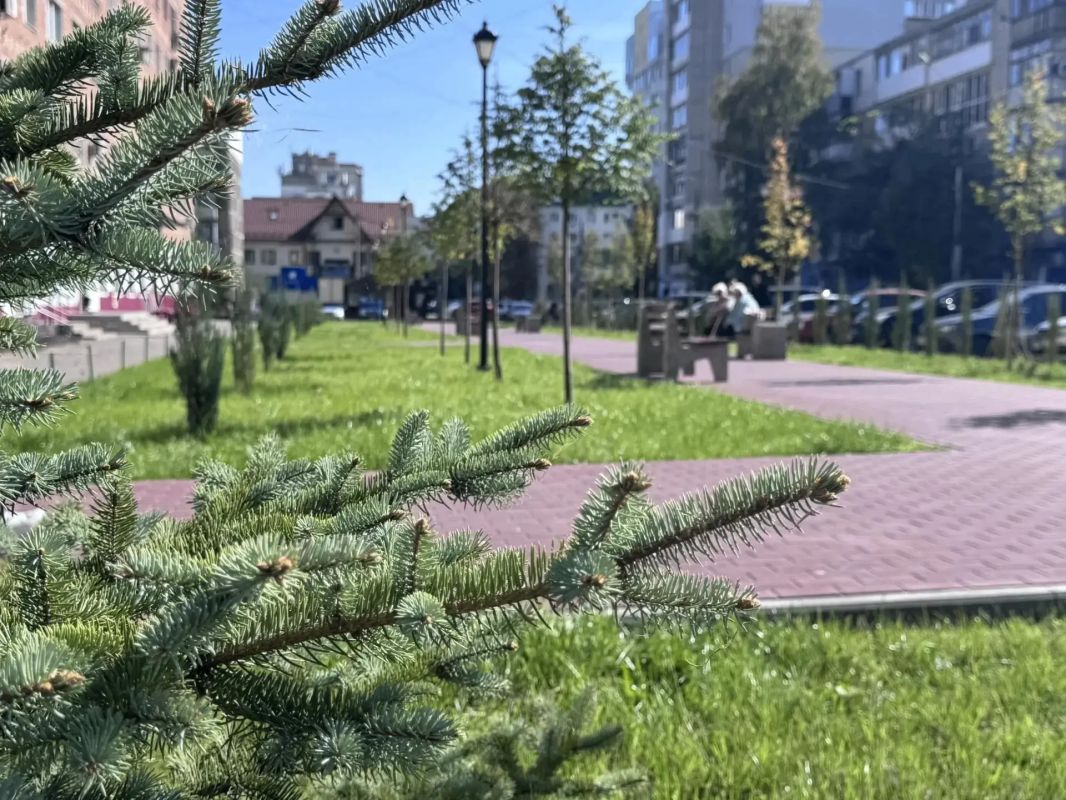 Сквер «Читателя» пользуется все большей популярностью у местных жителей и гостей города Сквер «Читателя» пользуется все большей популярностью у местных жителей и гостей города