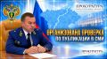 По поручению прокурора области Романа Пантелеева организована проверка по публикации СМИ