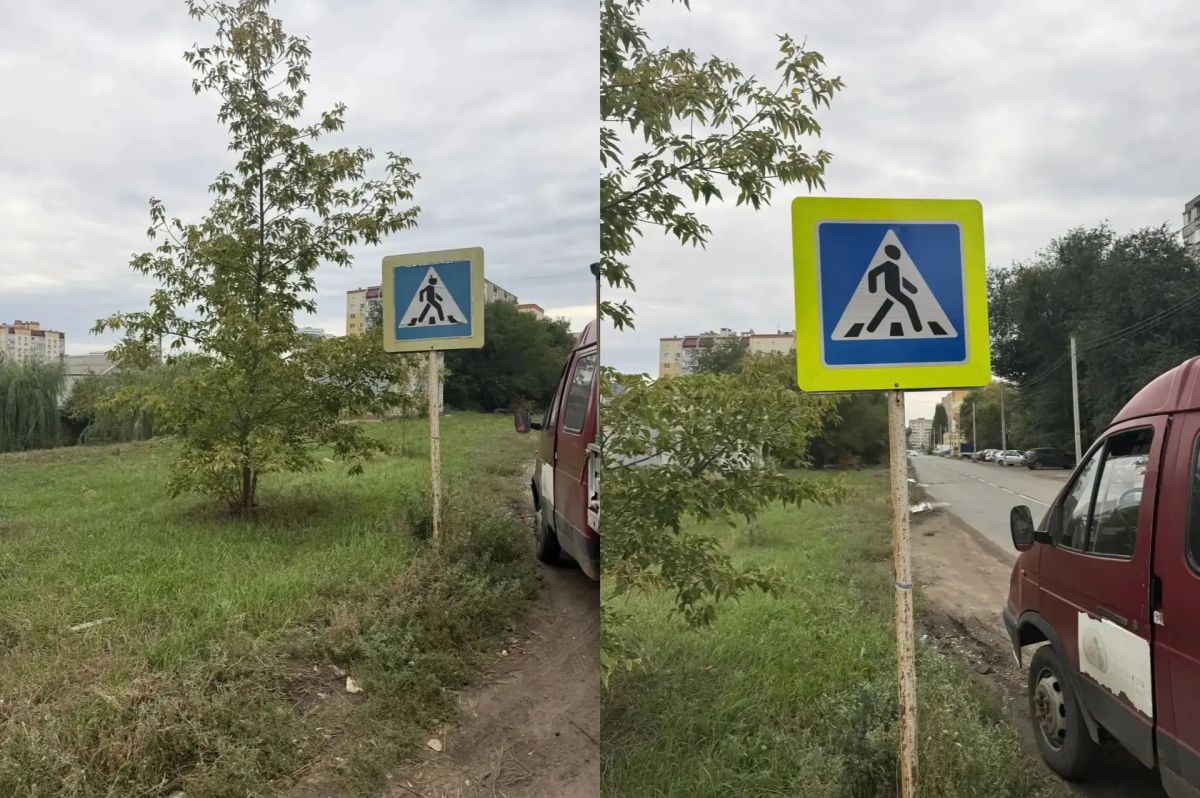 Приводим знаки дорожного движения в нормативное состояние Приводим знаки дорожного движения в нормативное состояние