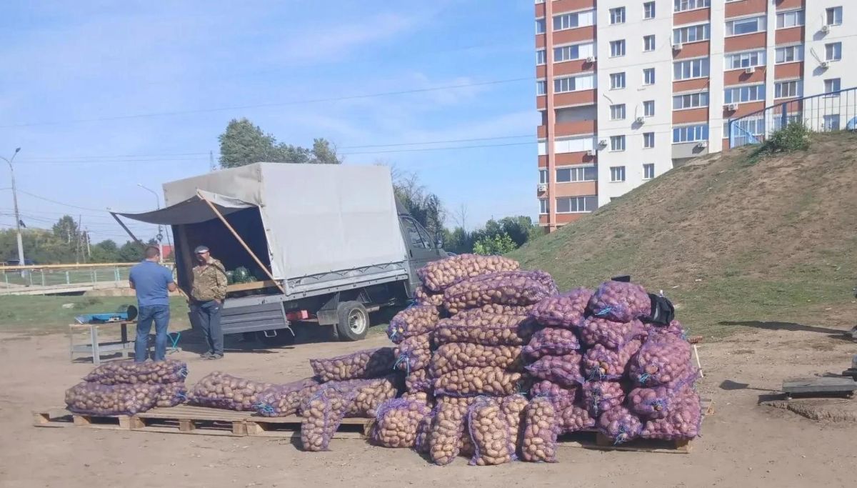 По поручению главы Энгельсского района Максима Леонова специалисты управления муниципального контроля и административной практики продолжают борьбу с незаконной торговлей По поручению главы Энгельсского района Максима Леонова специалисты управления муниципального контроля и административной практики продолжают борьбу с незаконной торговлей