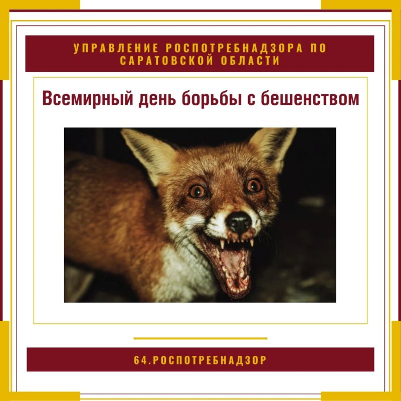 28 сентября – Всемирный день борьбы с бешенством