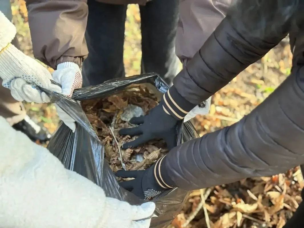 7 тысяч саратовцев присоединились к массовому субботнику 7 тысяч саратовцев присоединились к массовому субботнику