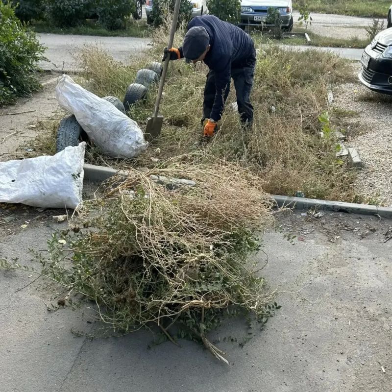 По инициативе губернатора Романа Бусаргина в Саратовской области стартовали субботники По инициативе губернатора Романа Бусаргина в Саратовской области стартовали субботники