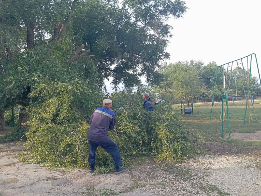По инициативе губернатора Романа Бусаргина в Саратовской области стартовали субботники По инициативе губернатора Романа Бусаргина в Саратовской области стартовали субботники