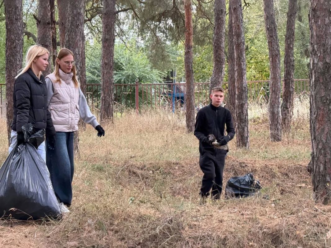 Осень в сосновом бору: время наводить порядок и заряжаться энергией! Осень в сосновом бору: время наводить порядок и заряжаться энергией!