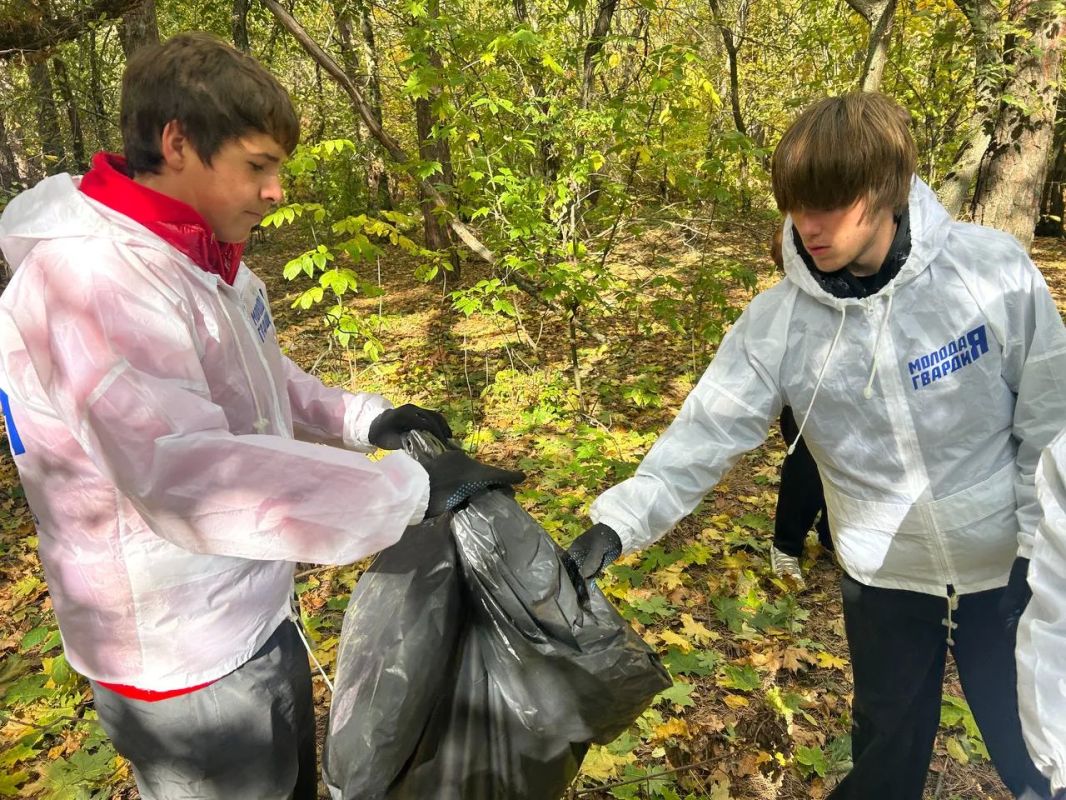 Осень в сосновом бору: время наводить порядок и заряжаться энергией! Осень в сосновом бору: время наводить порядок и заряжаться энергией!