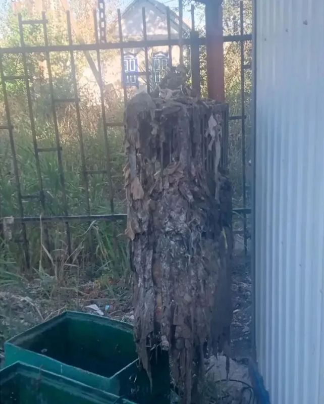 МУП «Энгельс-Водоканал». Итоги недели МУП «Энгельс-Водоканал». Итоги недели
