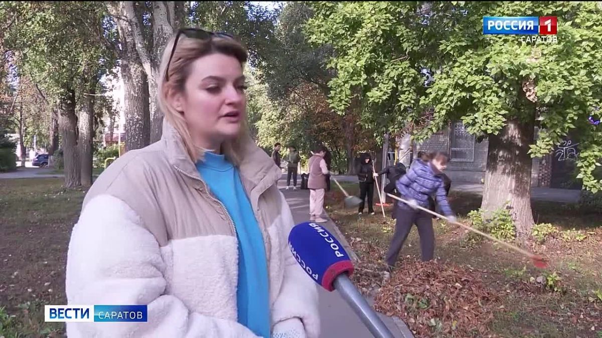 Чисто там, где не мусорят, а еще там, где следят за порядком