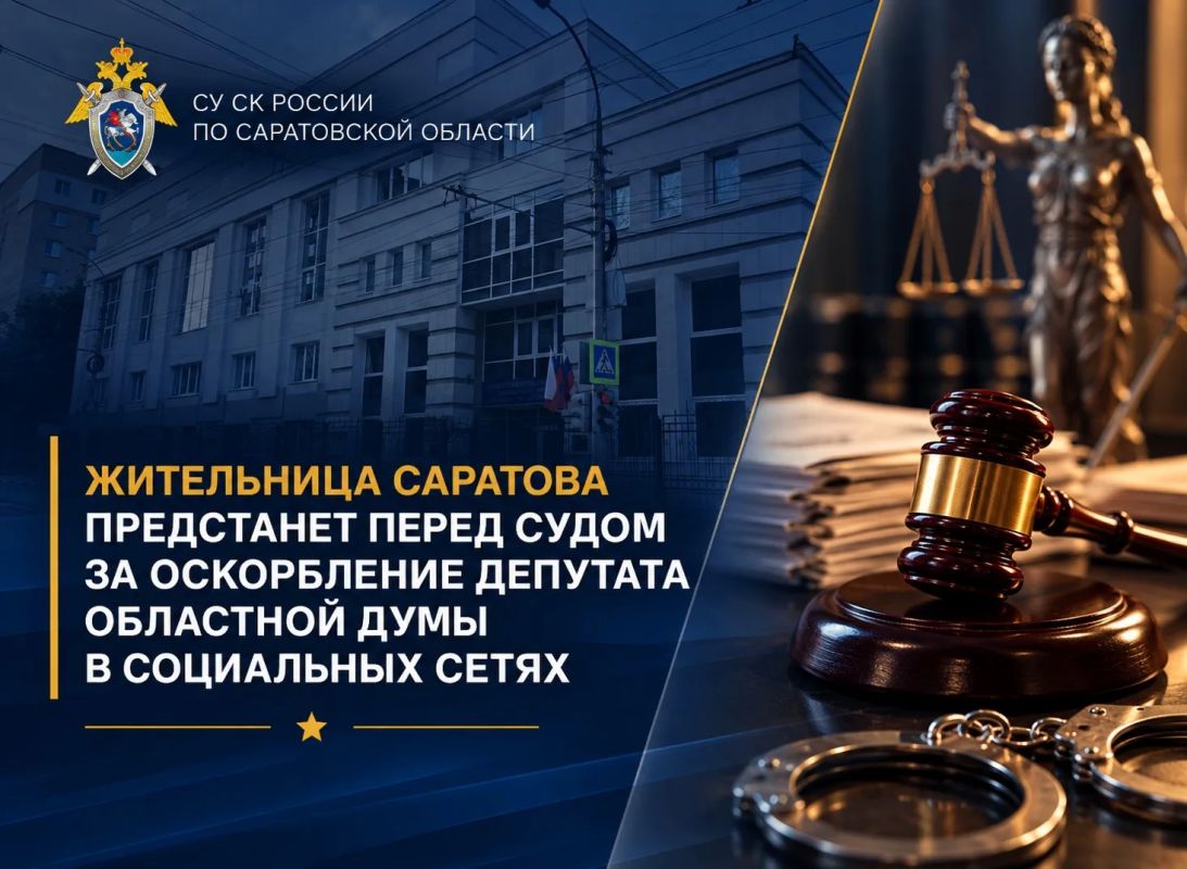 Жительница Саратова предстанет перед судом за оскорбление депутата областной думы в социальных сетях