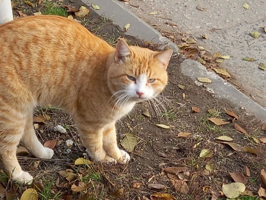 Прогноз погоды на 9 октября в Саратовской области Прогноз погоды на 9 октября в Саратовской области