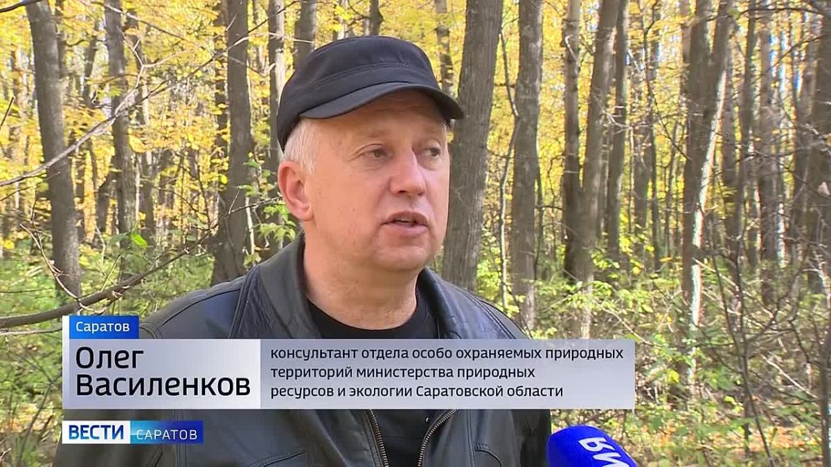 На Кумысной поляне обработают 520 гектаров от грызунов