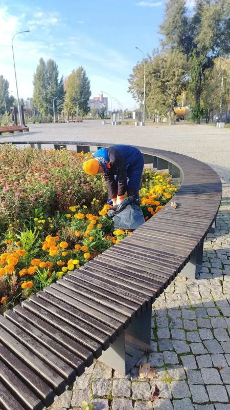 В Балаково ежедневно проводятся работы по благоустройству городской территории В Балаково ежедневно проводятся работы по благоустройству городской территории