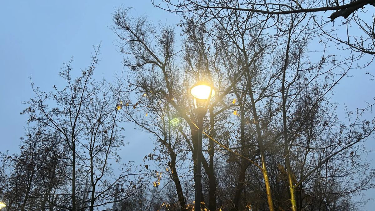 Днём тепло, ночью холодно: на выходных будет от +24 до 0