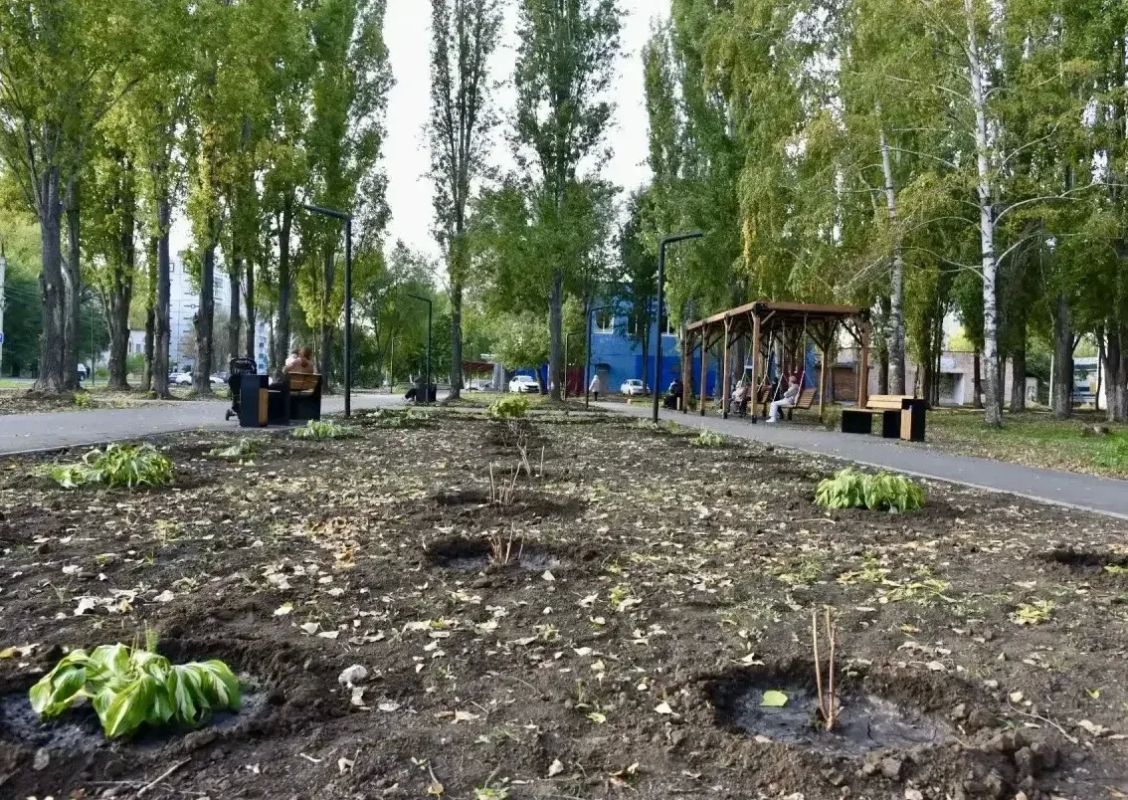 В сквере «Молодёжный» ведутся работы по высадке новых зелёных насаждений В сквере «Молодёжный» ведутся работы по высадке новых зелёных насаждений