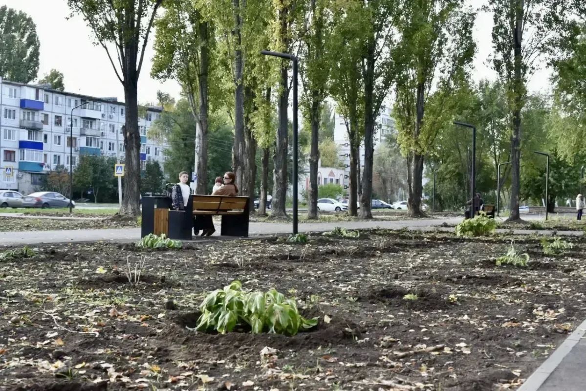 В сквере «Молодёжный» ведутся работы по высадке новых зелёных насаждений В сквере «Молодёжный» ведутся работы по высадке новых зелёных насаждений