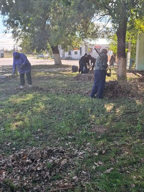 Волонтёры, представители администраций, активисты ТОС, молодёжь и неравнодушные жители объединились на субботнике в Безымянском, Красноярском, Новопушкинском и Терновском муниципальных образованиях Волонтёры, представители администраций, активисты ТОС, молодёжь и неравнодушные жители объединились на субботнике в Безымянском, Красноярском, Новопушкинском и Терновском муниципальных образованиях