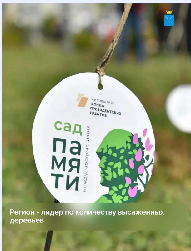 Второй год Саратовская область лидирует по количеству высаженных деревьев в рамках Всероссийской акции «Сад памяти»