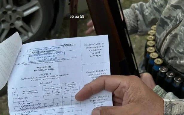 Четырех граждан привлекли ответственности за ночную охоту без сигнальных жилетов Четырех граждан привлекли ответственности за ночную охоту без сигнальных жилетов