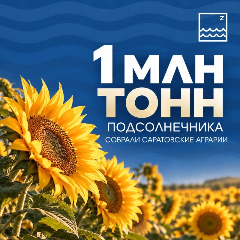 #ЦИФРАДНЯ. 1 миллион тонн подсолнечника собрали саратовские аграрии
