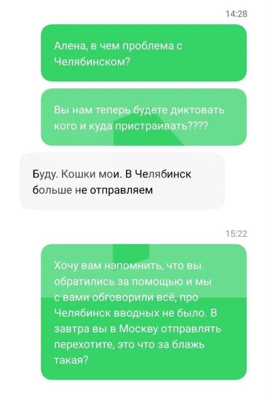 Сотни больных сфинксов спасли из питомника в Саратовской области Сотни больных сфинксов спасли из питомника в Саратовской области