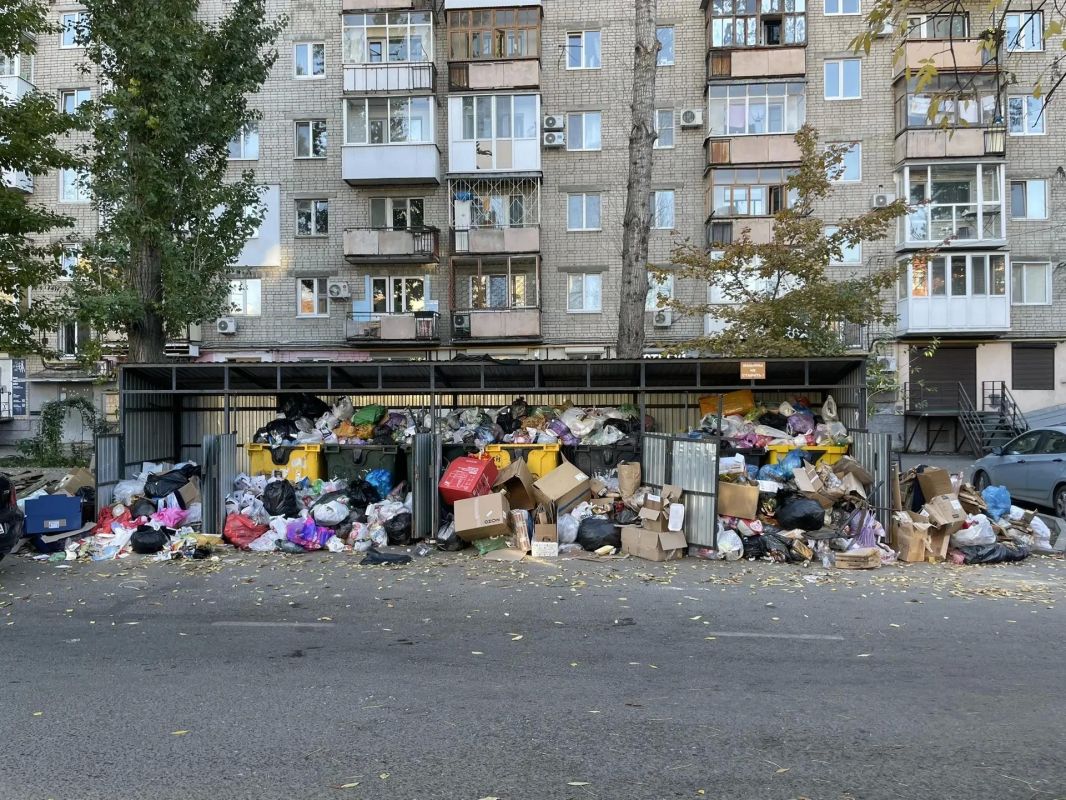 Саратовцы жалуются на заваленные мусором контейнерные площадки Саратовцы жалуются на заваленные мусором контейнерные площадки
