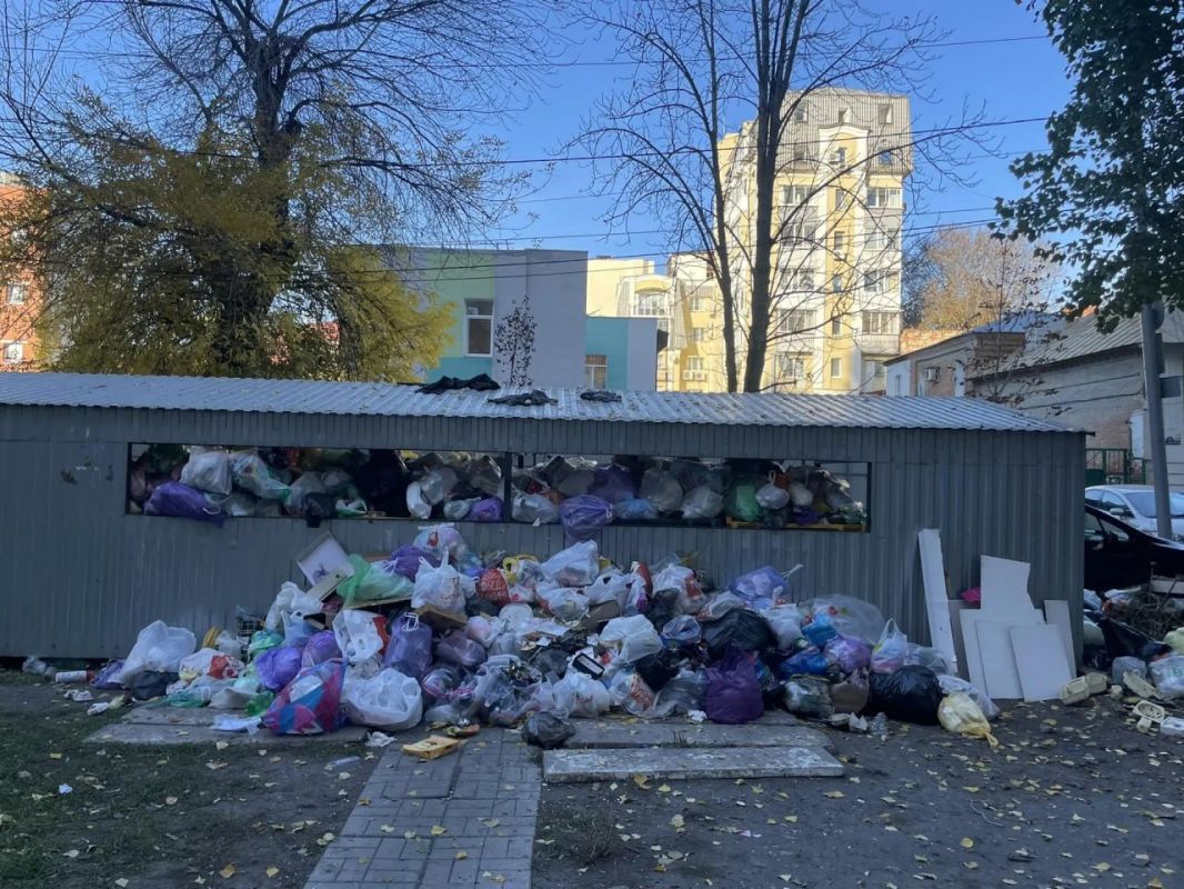 И вновь саратовцы жалуются на заваленные мусором контейнерные площадки