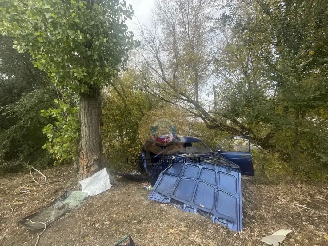 Еще одно смертельное ДТП с деревом случилось в Кировском районе Саратова Еще одно смертельное ДТП с деревом случилось в Кировском районе Саратова