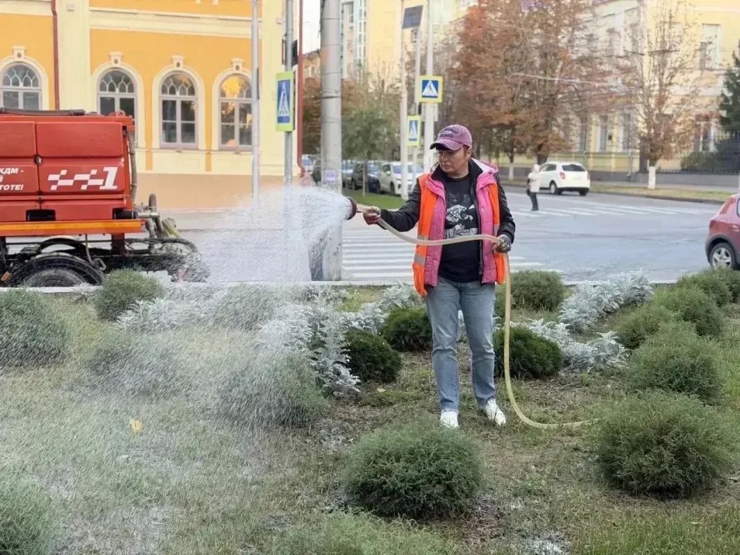 Уборка города. Коммунальные службы осуществляют уборку дорог и тротуаров, мойку остановочных павильонов, вывоз мусора и порубочного материала, а также ремонт элементов дорожного движения Уборка города. Коммунальные службы осуществляют уборку дорог и тротуаров, мойку остановочных павильонов, вывоз мусора и порубочного материала, а также ремонт элементов дорожного движения
