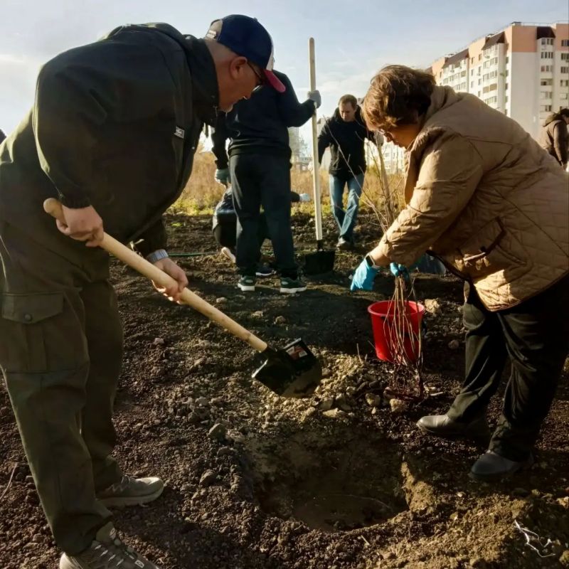 Больше деревьев родному городу Больше деревьев родному городу