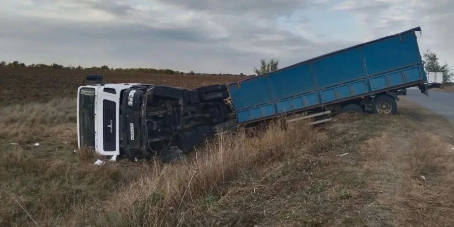 Под Ершовом опрокинулась фура с 30 головами крупного рогатого скота