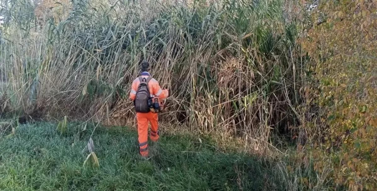 На традиционном штабе по благоустройству подвели итоги минувшей недели и обсудили план осенней высадки деревьев На традиционном штабе по благоустройству подвели итоги минувшей недели и обсудили план осенней высадки деревьев
