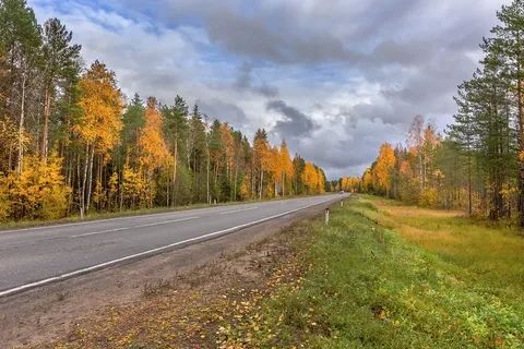 По данным Гидрометцентра 22.10.2026 на территории Саратовской области прогнозируется переменная облачность