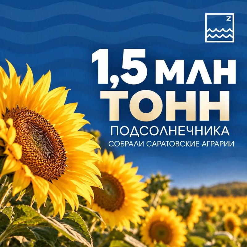#ЦИФРАДНЯ. Саратовские аграрии собрали уже 1,5 млн тонн подсолнечника