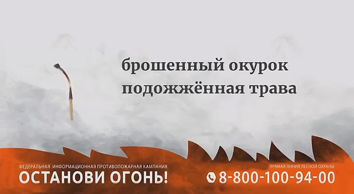 Безответственное отношение человека и природные катаклизмы приводят к снижению количества лесных угодий из-за огня