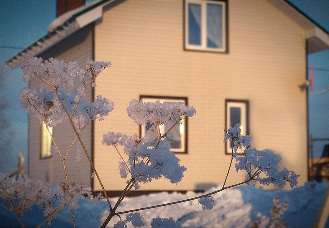 Жизнь за городом: подводные камни и важные аспекты загородного быта