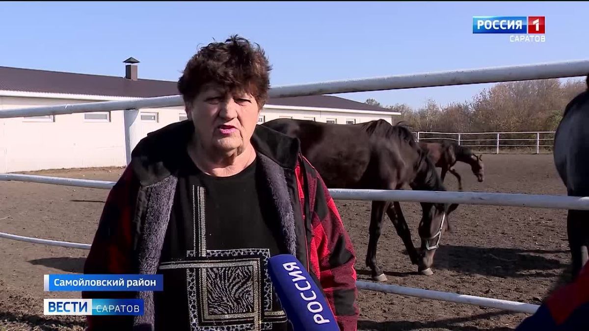 Конный завод из Саратовской области получил золотую медаль 18й Российской агропромышленной выставки «Золотая осень — 2026»