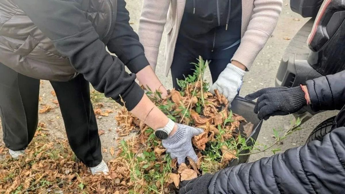 Саратовцев призвали выйти на субботники, чтобы сделать мир чище