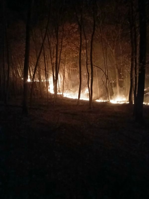 Возле села Лох уже несколько дней тушат памятник природы Возле села Лох уже несколько дней тушат памятник природы