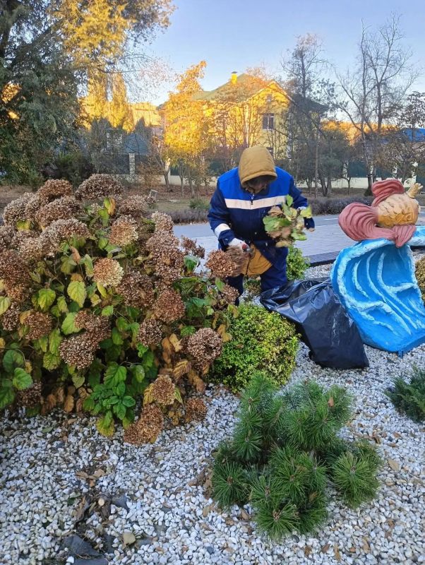 В городе Балаково продолжаются плановые работы по благоустройству