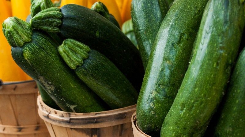 Кабачковая запеканка: навигация во вкусе и лёгкости приготовления