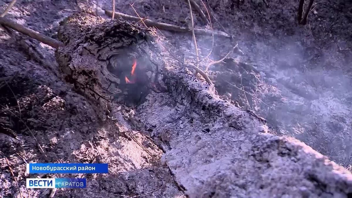 Из искры разгорелось пламя недостоверности