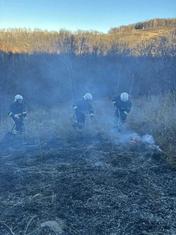 В Лохе тушат сухостой и лесную подстилку В Лохе тушат сухостой и лесную подстилку